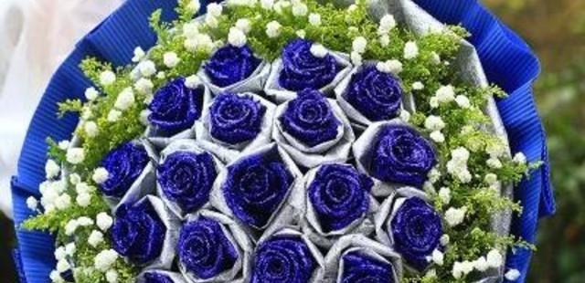 蓝色的奇迹——一朵蓝玫瑰的象征意义（寻找真爱的勇气与希望）