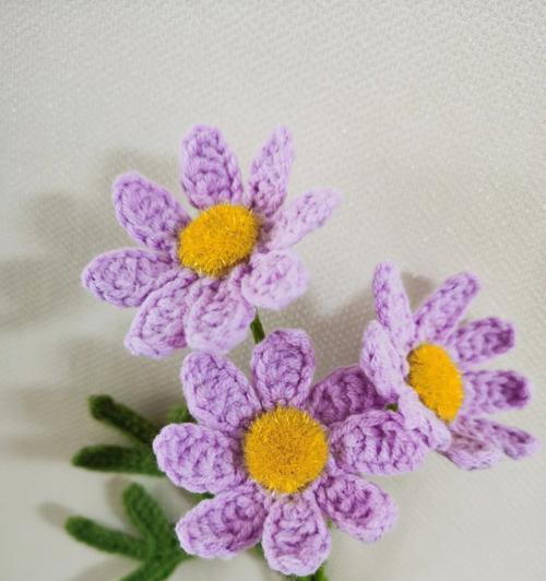 紫色雏菊的花语（探寻紫色雏菊所传递的心灵寓意）