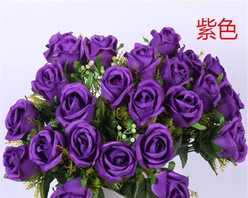 紫色玫瑰的寓意与象征（揭示紫色玫瑰传递的神秘与浪漫）