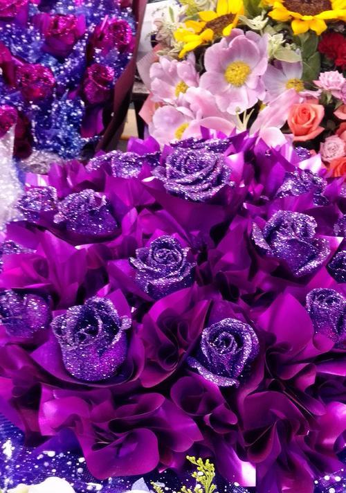 紫色玫瑰花的意义及象征（深情与神秘的紫色花朵的隐含寓意）