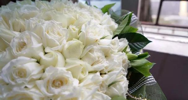白玫瑰的花语及其美丽寓意（探寻白玫瑰的花语）
