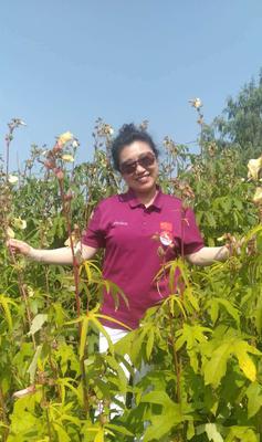 以象征自信的植物为主题的文章（探索自信的花朵世界）