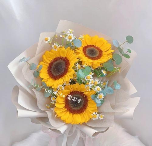 向日葵花的含义——阳光与希望（探索一朵向日葵花的含义）