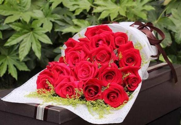 12朵红玫瑰的花语及寓意（12朵红玫瑰的象征意义与传递信息）