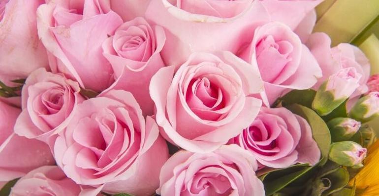 30朵玫瑰花语的深刻寓意（用花朵述说情感之语）