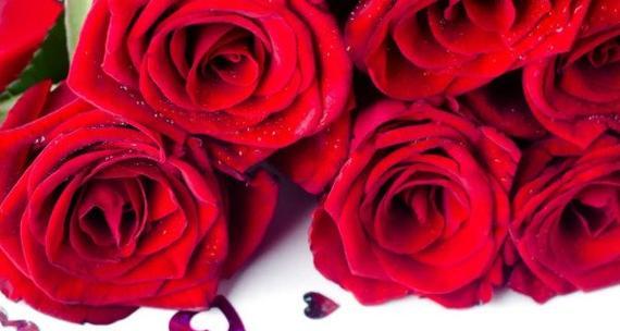 55朵玫瑰花语之浓情蜜意（55朵玫瑰象征爱情的轰烈表达）