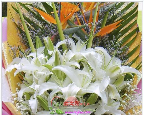 友谊的花——用花语表达真挚友谊（用花朵传递友谊的美好与纯真）
