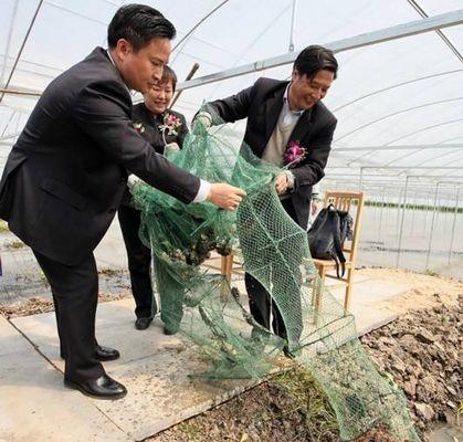 淡水养虾需要什么条件和技术（有关淡水虾养殖技术）