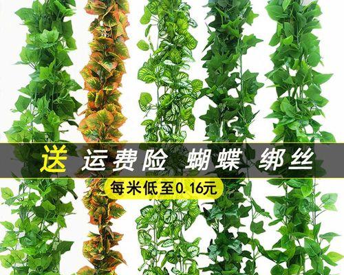 藤蔓植物有哪些（六大爬藤植物排名）