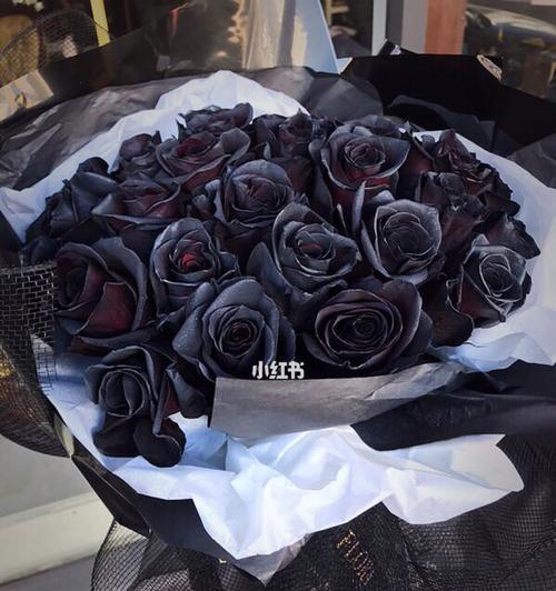 黑玫瑰花语的赠送对象选择（用黑玫瑰花语传达你的情感）