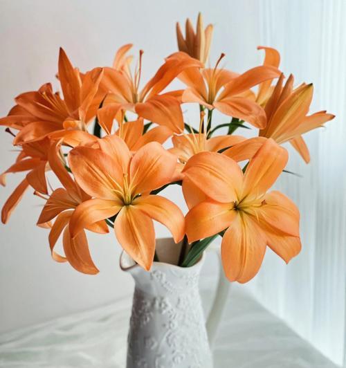 黄百合花的寓意与意义（揭示黄百合花的美丽传说与深刻内涵）