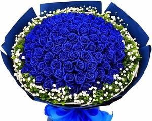 以九十九朵花代表的意义（花的语言与生活的寓意）