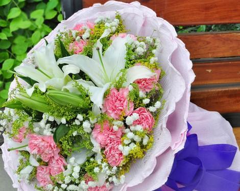 康乃馨的花语与象征意义（解读康乃馨的不同数量所代表的含义）