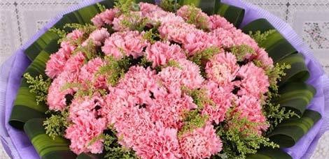 康乃馨的花语与象征意义（解读康乃馨的不同数量所代表的含义）