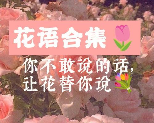 以蓝桉的花语与送人适宜性（传递真挚情感的完美选择——以蓝桉花束送礼）