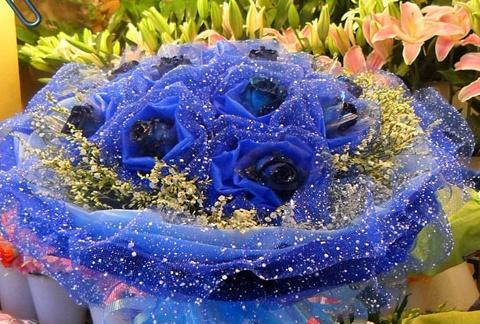 蓝色康乃馨花语（探究蓝色康乃馨的花语意义）