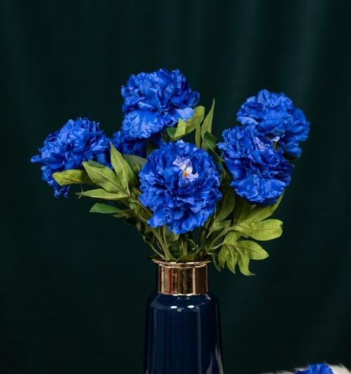 蓝色牡丹花的神秘象征意义（揭开蓝色牡丹花的意义之谜）