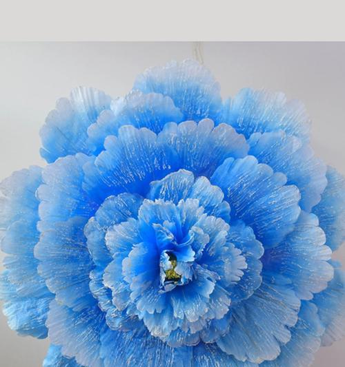 蓝色牡丹花的神秘象征意义（揭开蓝色牡丹花的意义之谜）