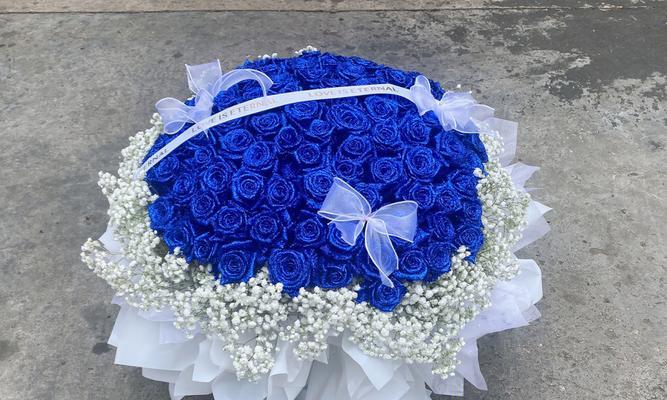 以蓝色妖姬玫瑰花花语的神秘魅力（探索蓝色妖姬玫瑰花的美丽与意义）