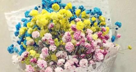 满天星的花语及象征意义（探寻满天星花的美丽与神秘）