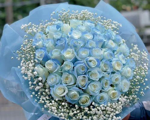 玫瑰花语之每朵花的含义（探索玫瑰花的深意与情感）