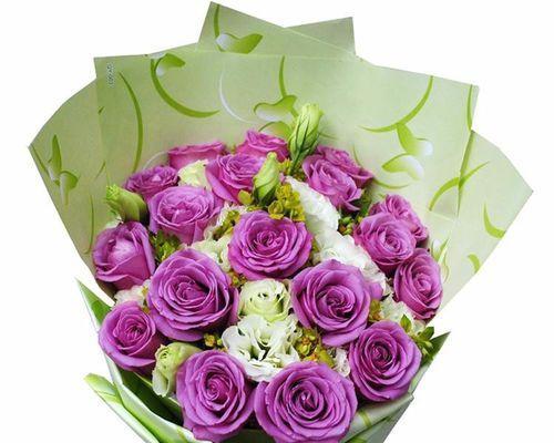 花语之美——玫瑰数量的象征意义（探究玫瑰花的花语和代表意义）