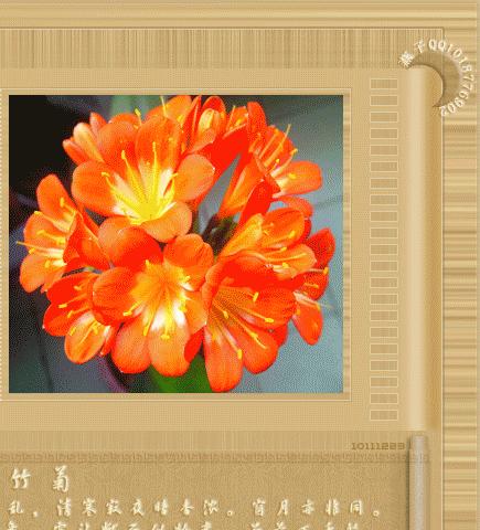 梅兰竹菊（中国四君子花之审美追求）