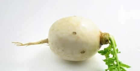 白萝卜不仅是减肥食品，含糖量也不低（白萝卜的糖分含量及其影响）