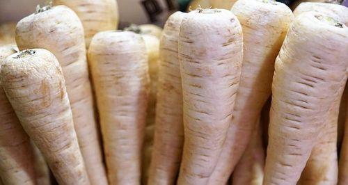 白萝卜不仅是减肥食品，含糖量也不低（白萝卜的糖分含量及其影响）