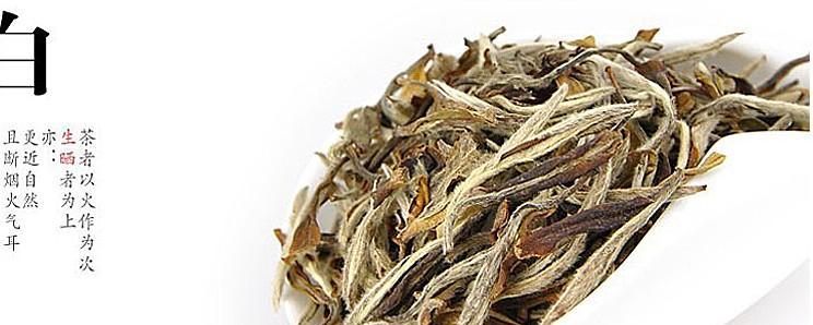 白牡丹茶的种类及特点（探索白牡丹茶的品质）