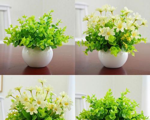 白色花盆的选择与应用（适合养什么花）