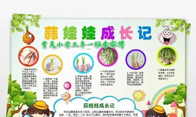 白掌换土详解（时间）