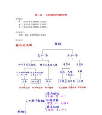 百合的生长环境及适宜地点（探寻百合的生存条件）