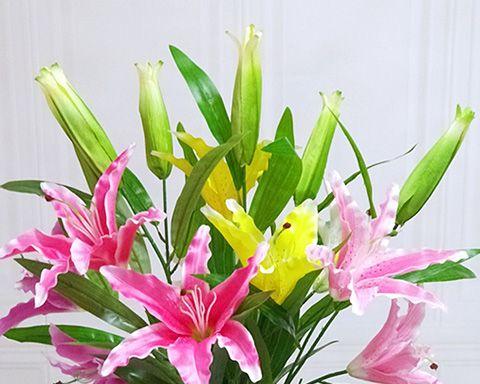 百合花插花养护指南（如何让百合花插花长久美丽）