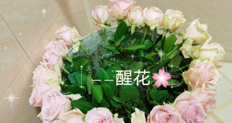 植物中的至死不渝爱情（探寻自然界中最坚韧的爱情故事）