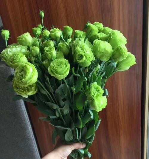 洋桔梗花语与种植方法解析（探索洋桔梗的花语之美）