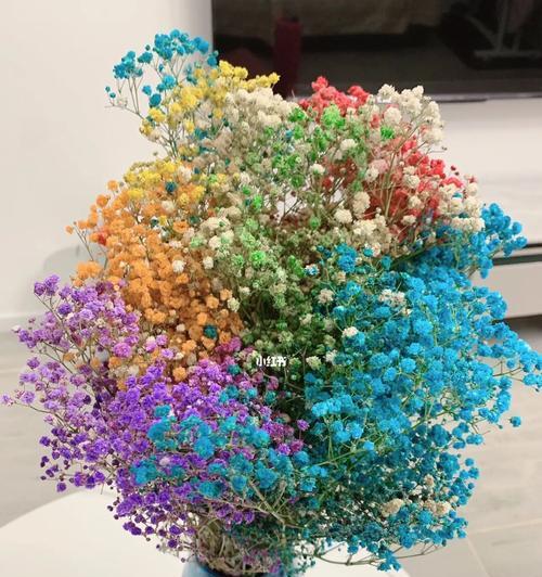 满天星花传说——花开之祈愿（星光笼罩的神秘花语与传说）