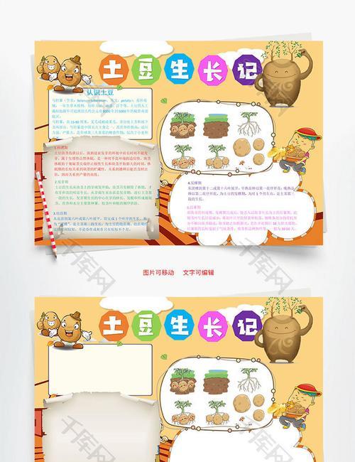 春季土豆收获时间及丰收季节（掌握春季土豆收获时间）