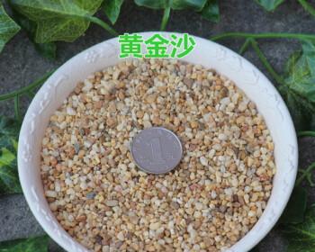 纯河沙能否种植多肉（探究纯河沙是否适合种植多肉植物）