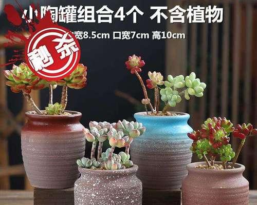 瓷花盆的适用植物品种选择（如何选择最适合的瓷花盆进行植物栽培）