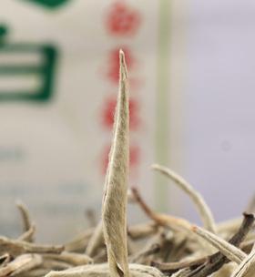 大白毫——一款优秀的白茶品种（醇香高雅）