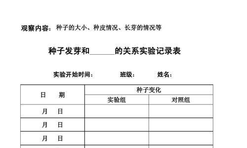 大滨菊种子最佳播种时间（如何选择最合适的种植时期）