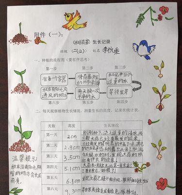 大葱种植技巧与注意事项（掌握适宜种植时间和方法）