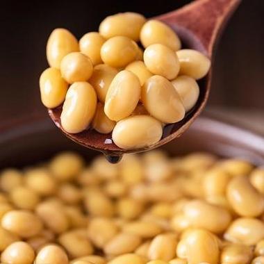 大豆的营养成分及是否为碳水化合物探讨