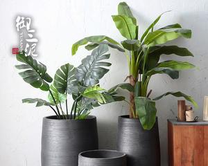 大缸花盆——适宜养花品种的选择（从花盆材质、大小、排水等方面考虑）