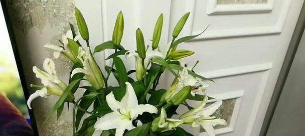 香水百合的寓意（深情绽放）