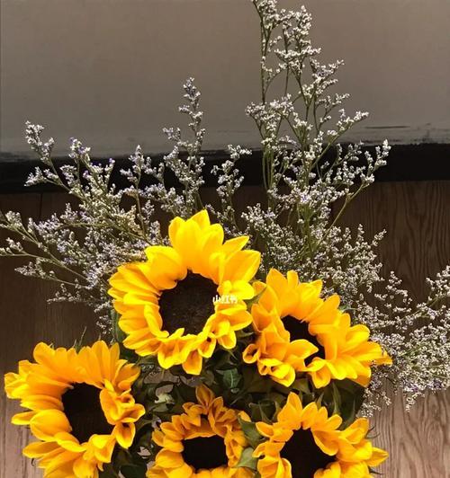 向日葵花语（以向日葵花语代表什么意思）