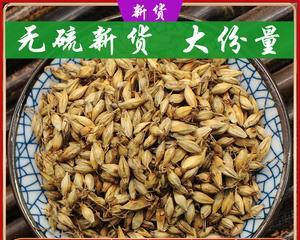 大麦茶和炒麦芽的区别（探寻大麦茶和炒麦芽的不同之处）
