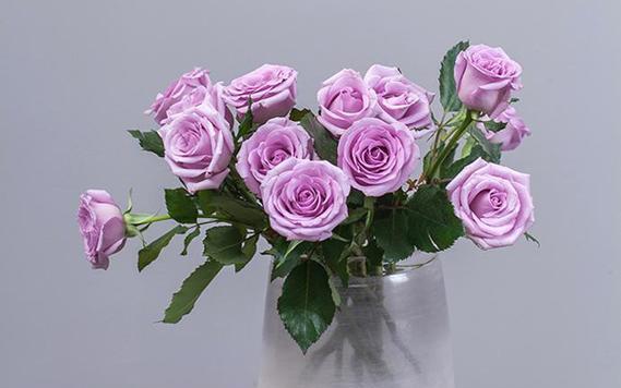 老师如花（以象征老师的花）