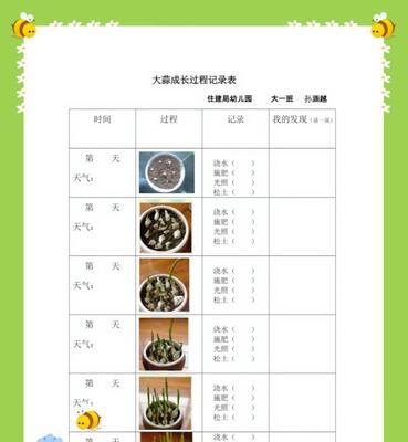 大蒜的浇水频率（如何科学地浇水）